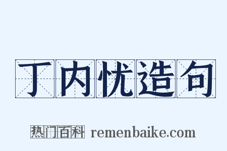 丁内忧造句是什么意思的图片